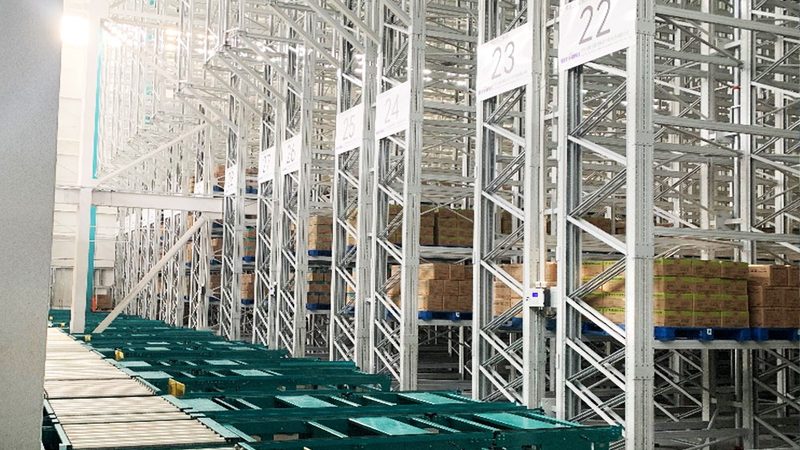 塑料托盘与钢托盘：承载性能与适用场景的深度解析